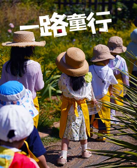 项目体系