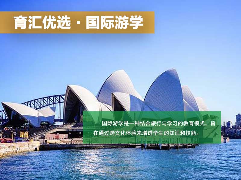 国际游学