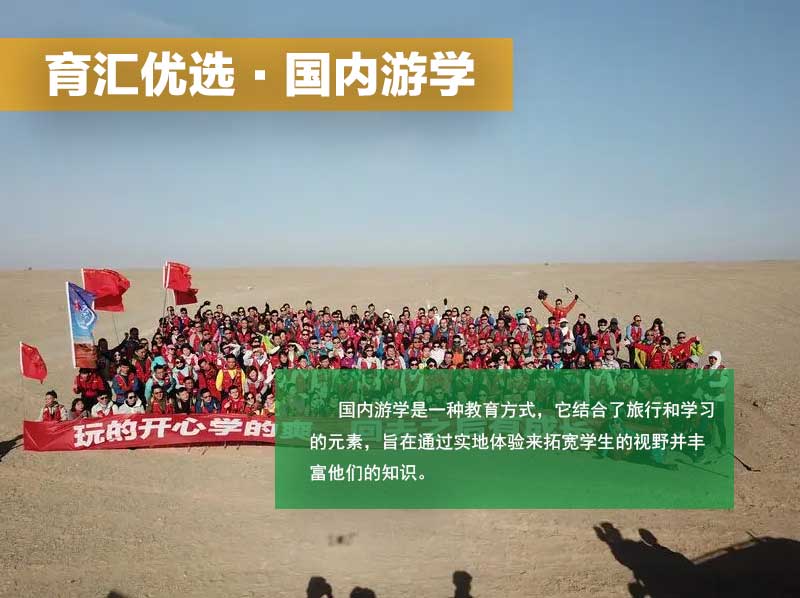 国内游学活动