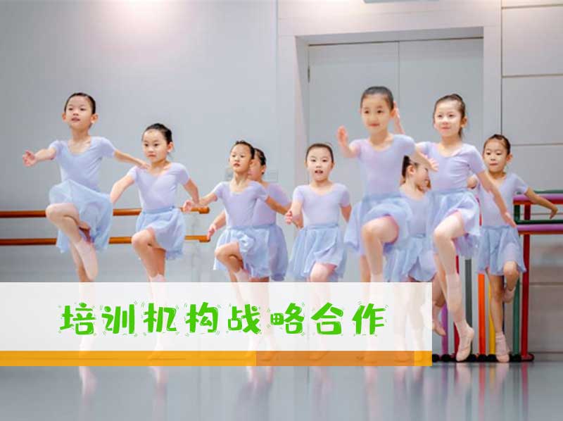 携手共进：研学课程与培训机构的战略合作方案